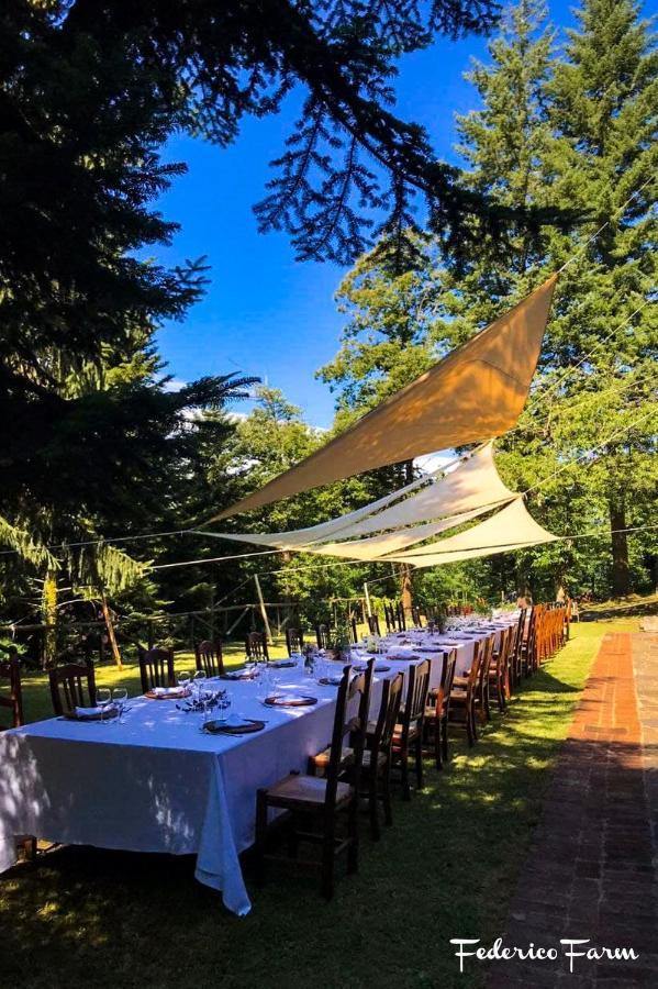 La Casa Del Sarto - Federicofarm Villa Pontremoli Kültér fotó